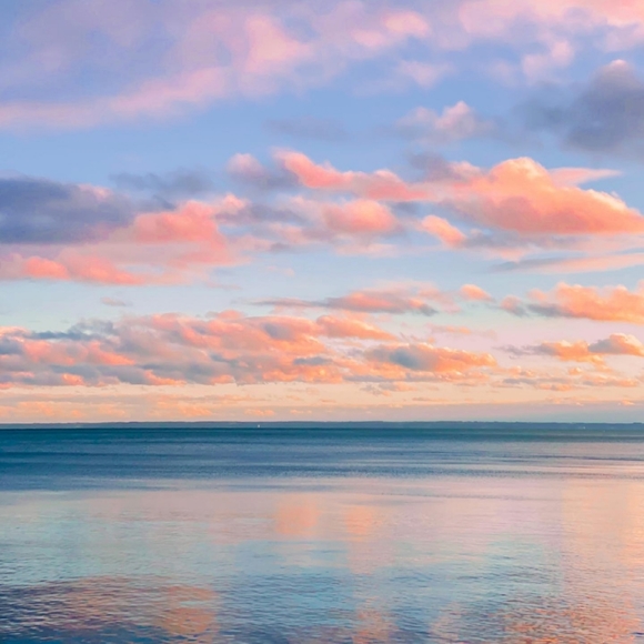 Meet your Posher, Sam - Picture 1 of 1